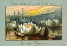 Vintage graphics postcard of water lilies