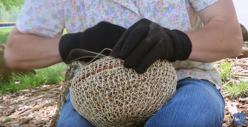 making a honeysuckle basket
